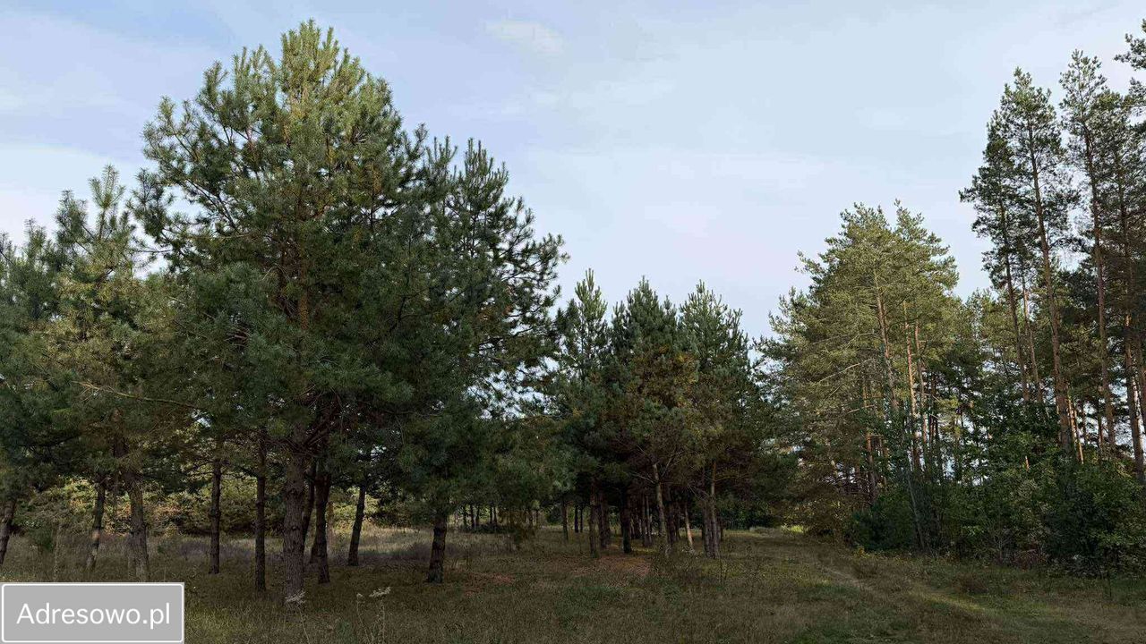 Działka budowlana Leńce. Zdjęcie 4