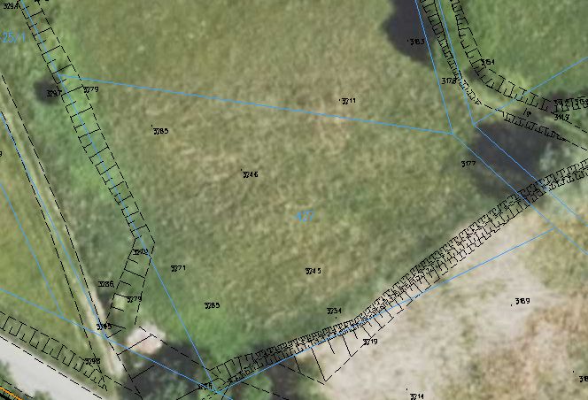 Działka rolna Mała Dział. Zdjęcie 6