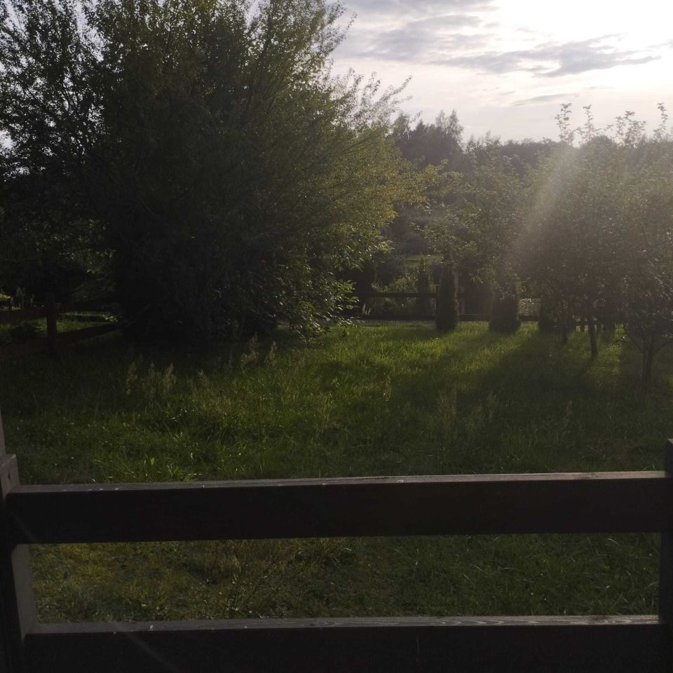 Działka rod Mrągowo. Zdjęcie 3