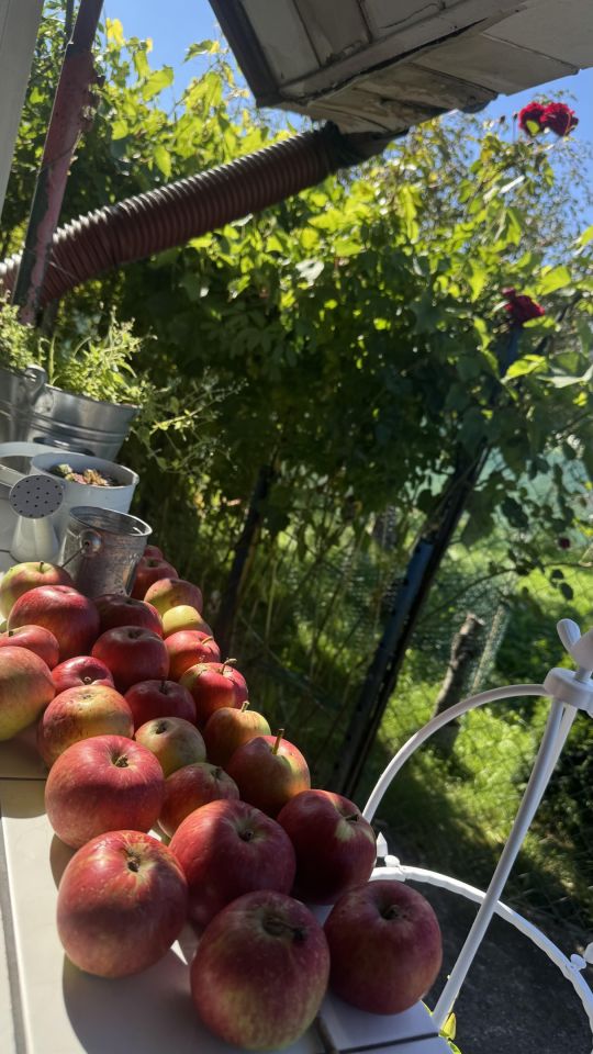 Działka rod Gorzów Wielkopolski Zawarcie, ul. Jasna. Zdjęcie 11