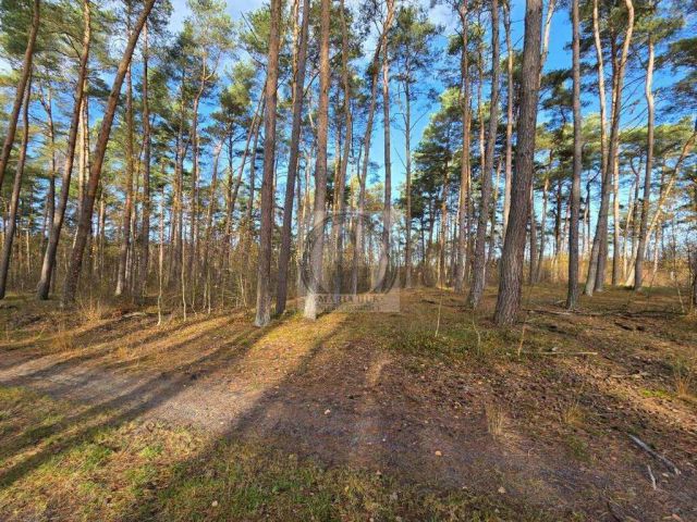 Działka budowlana Dziwnów. Zdjęcie 12