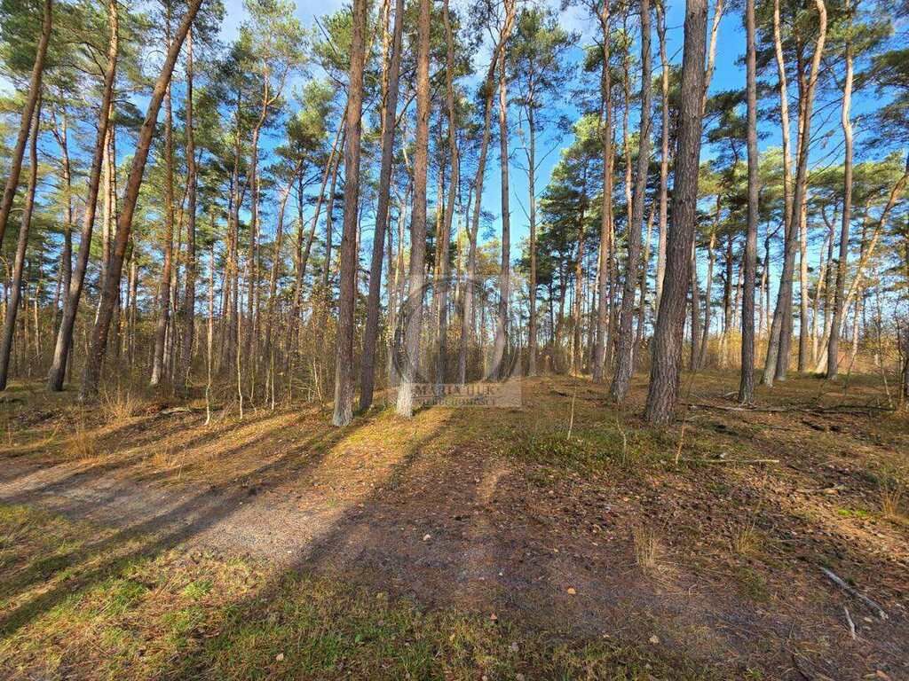 Działka budowlana Dziwnów. Zdjęcie 12