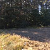 Działka Kostrzyn. Zdjęcie 2