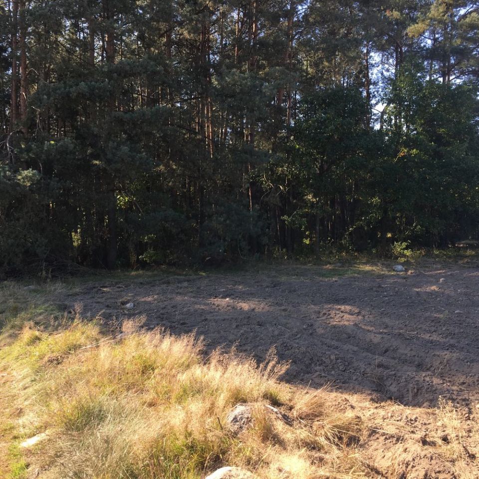 Działka Kostrzyn. Zdjęcie 3