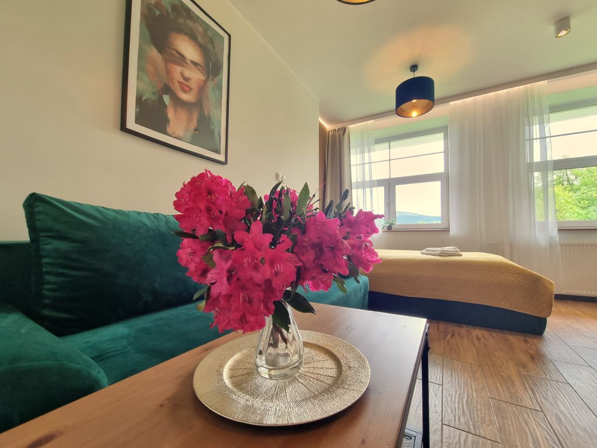 Mieszkanie 1-pokojowe Karpacz. Zdjęcie 2