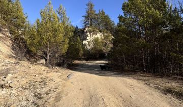 Działka rolno-budowlana Józefów