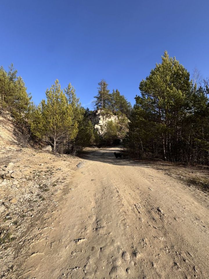 Działka rolno-budowlana Józefów. Zdjęcie 2