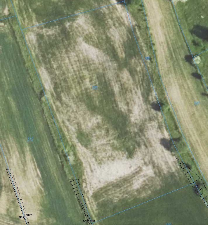 Działka rolna Mała Dział. Zdjęcie 5