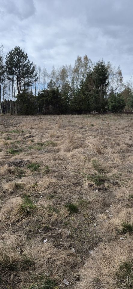 Działka budowlana Siestrzeń. Zdjęcie 7