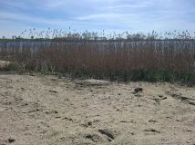 Działka budowlana Pluskowęsy. Zdjęcie 2