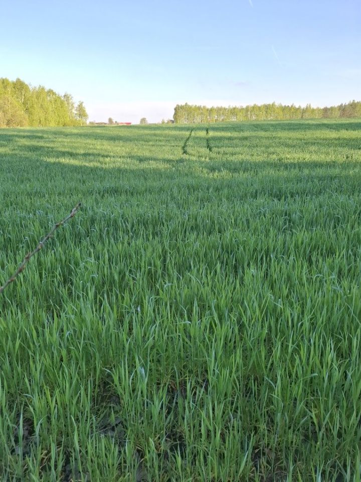 Działka budowlana Nowostawy Dolne. Zdjęcie 4