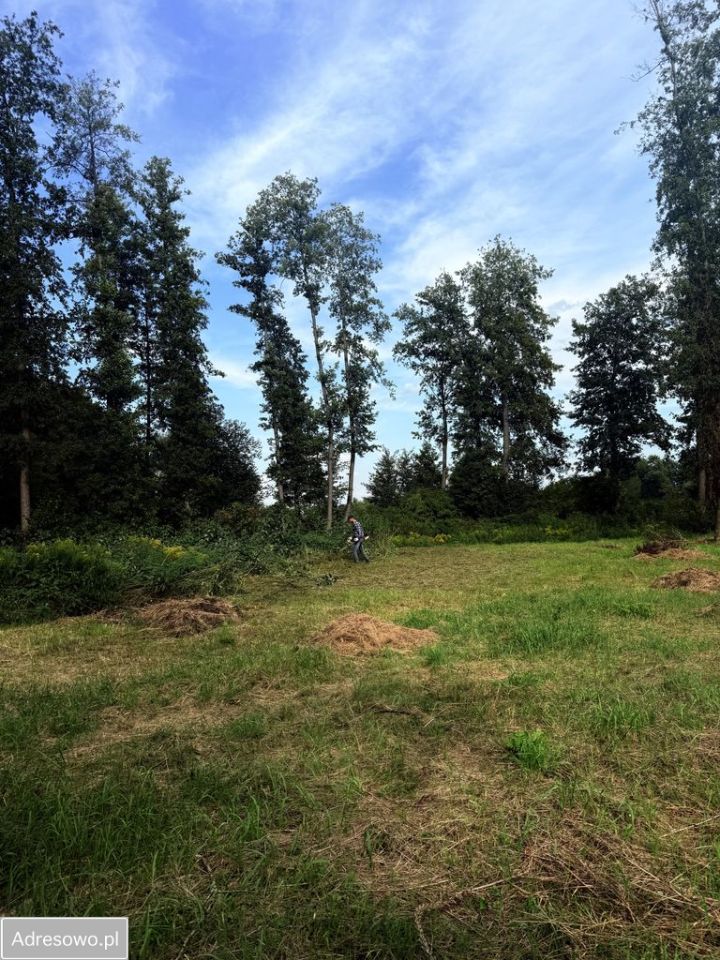 Działka budowlana Otorowo. Zdjęcie 2