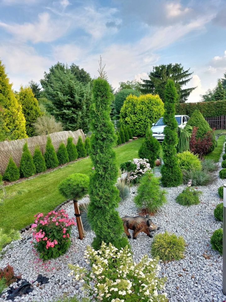 Działka rod Bydgoszcz Biedaszkowo. Zdjęcie 7