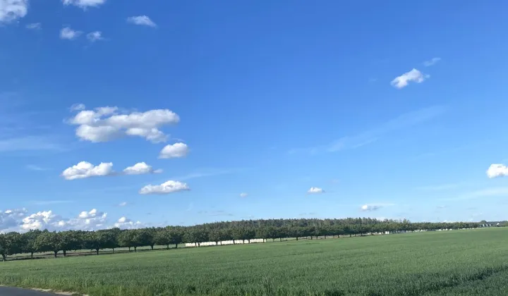 Działka rolna Konarskie