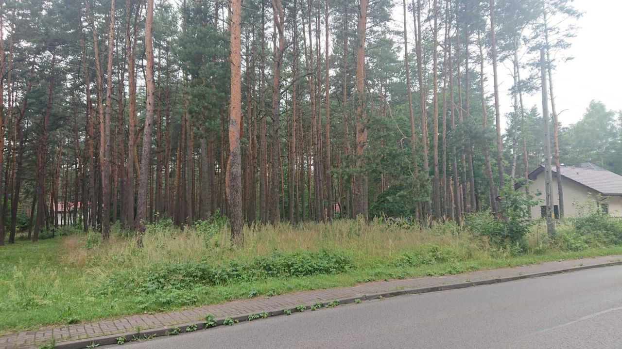 Działka budowlana Żarki-Letnisko, ul. Słoneczna. Zdjęcie 3