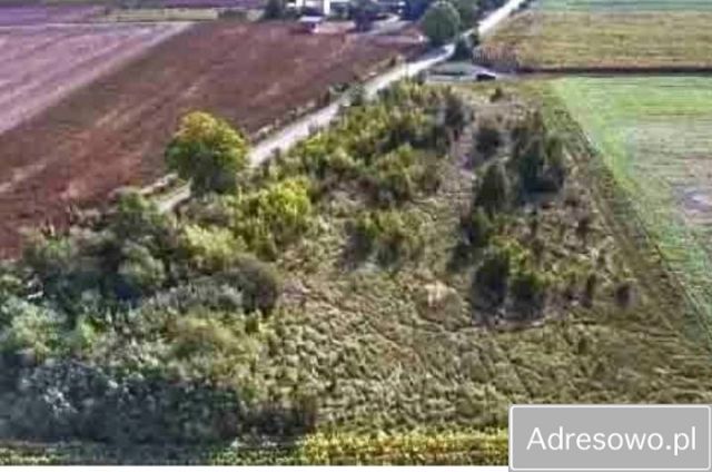 Działka budowlana Truszczanek. Zdjęcie 1