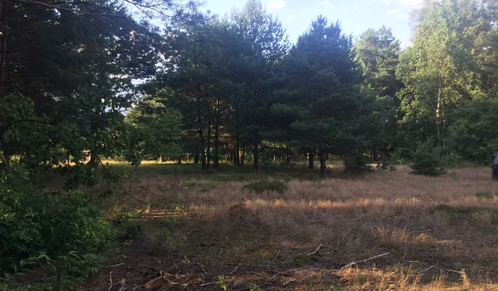 Działka budowlana Gwizdów Gwizdów