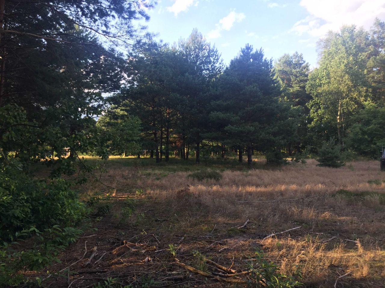 Działka budowlana Gwizdów Gwizdów. Zdjęcie 1