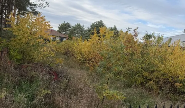 Działka budowlana Zduńska Wola Nowe Miasto, ul. Bukowa