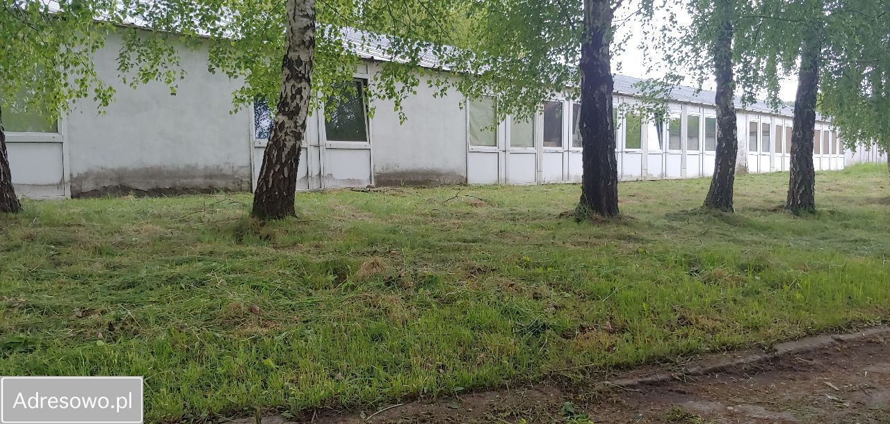 Hala/magazyn Miłogórze. Zdjęcie 4