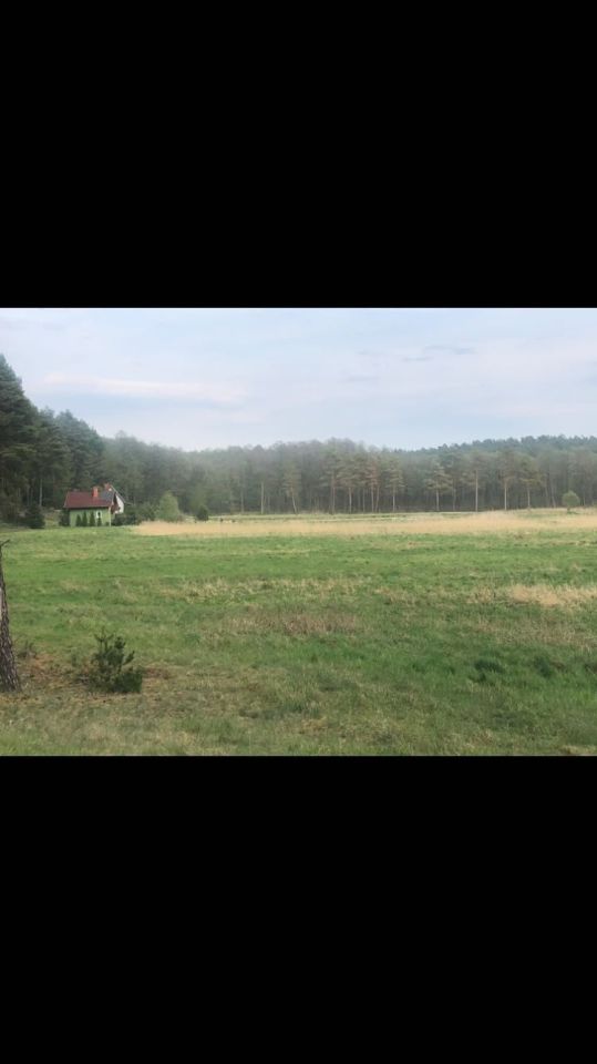 Działka rolna Wieck. Zdjęcie 7