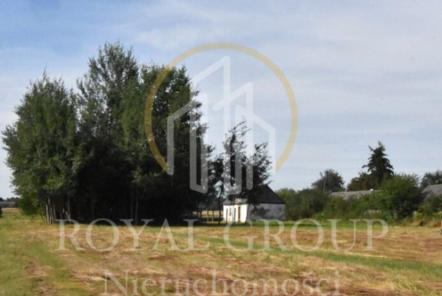 Działka siedliskowa Siedliska. Zdjęcie 1