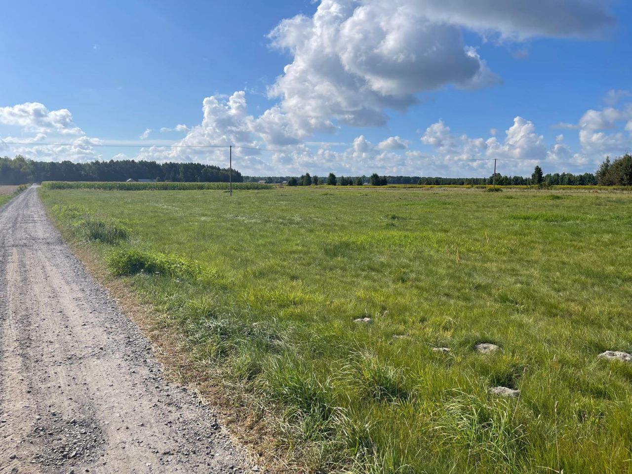 Działka budowlana Łąki. Zdjęcie 2