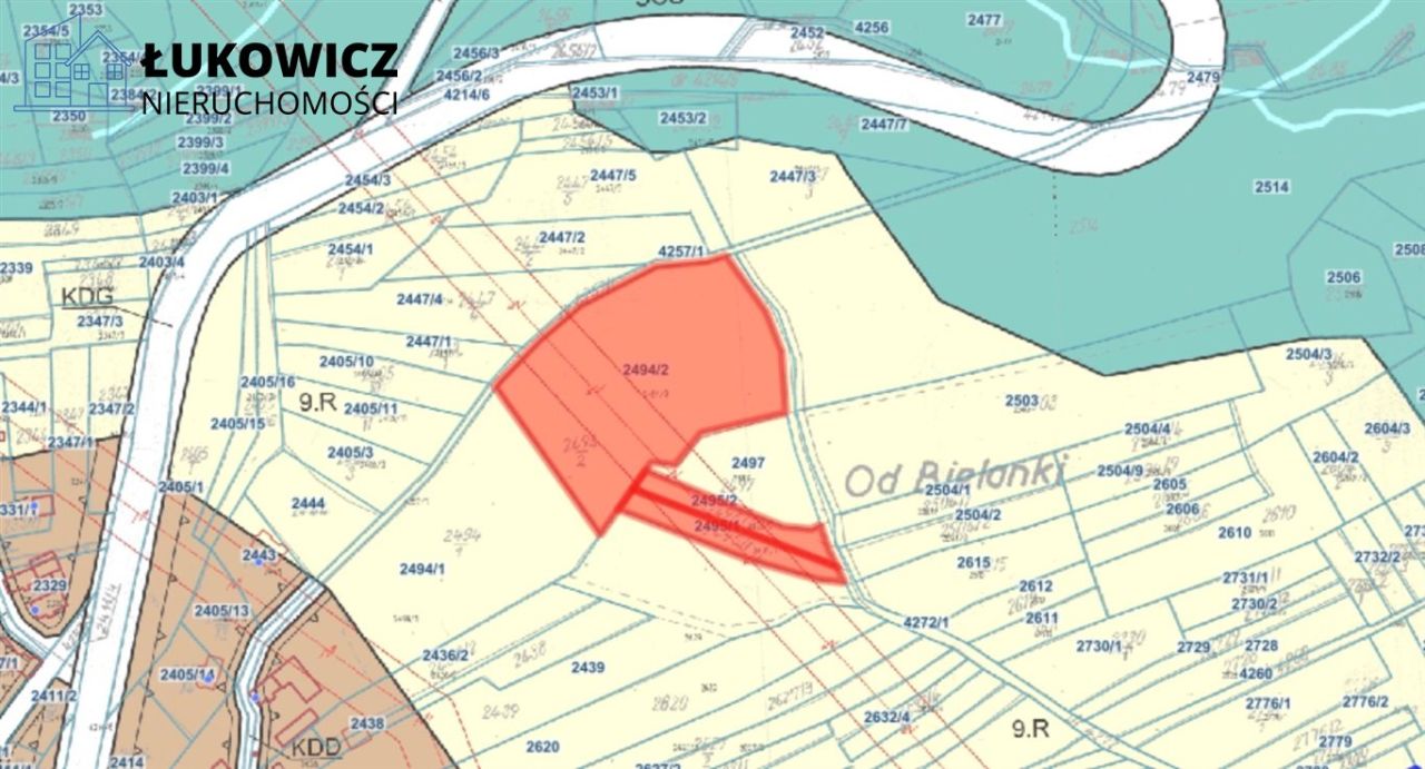 Działka leśna Pieniążkowice. Zdjęcie 4