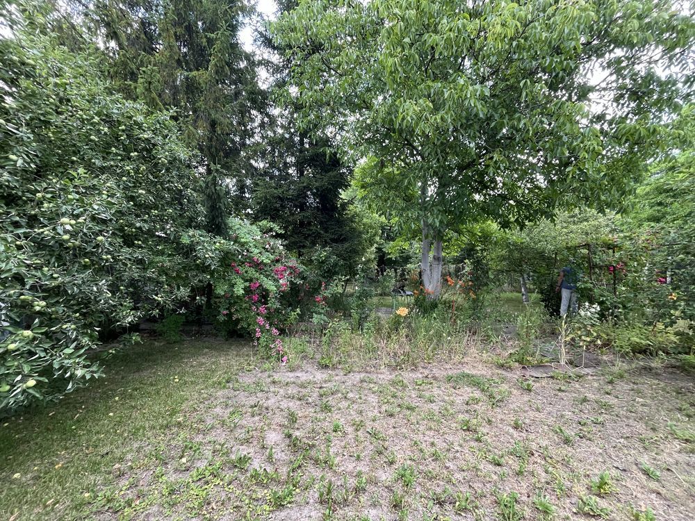 Działka rod Gliwice Sośnica, ul. Dolna. Zdjęcie 3