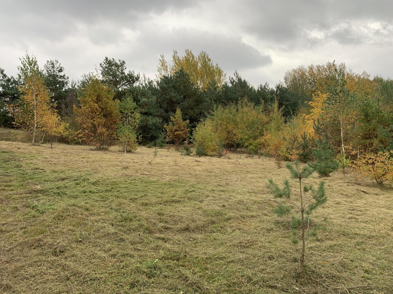 Działka budowlana Cychry. Zdjęcie 3