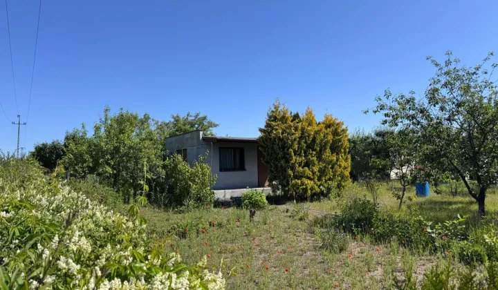 Działka rod Dolaszewo