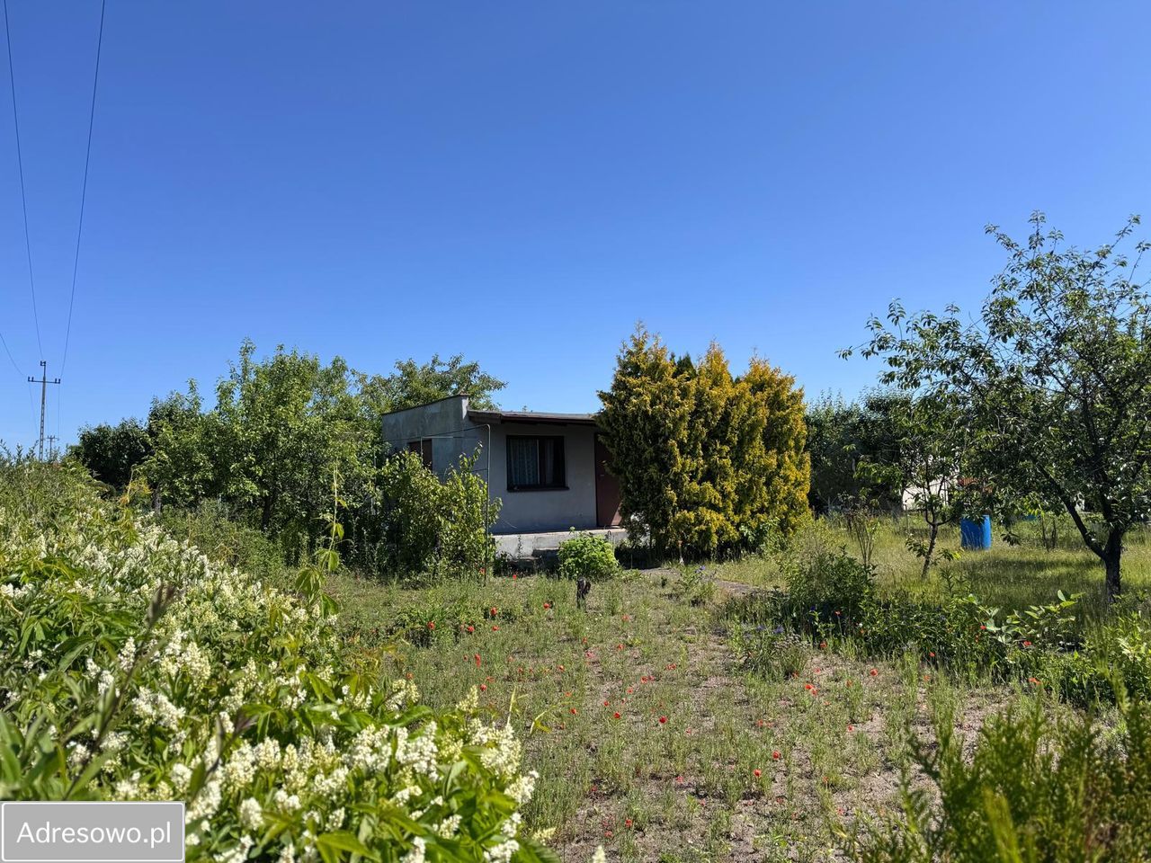 Działka rod Dolaszewo. Zdjęcie 1