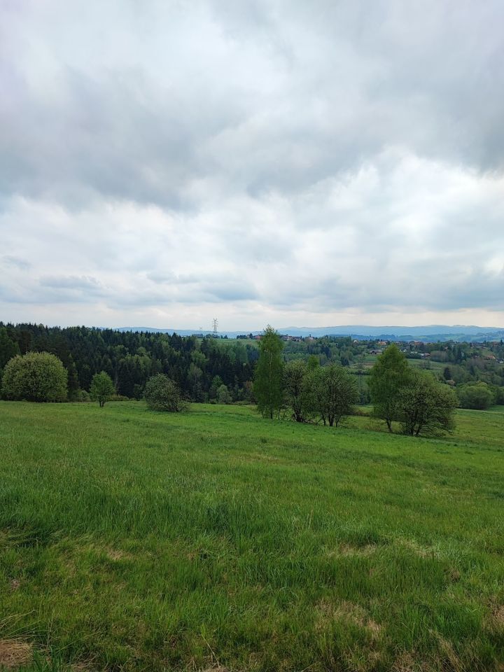 Działka rolna Naprawa. Zdjęcie 6