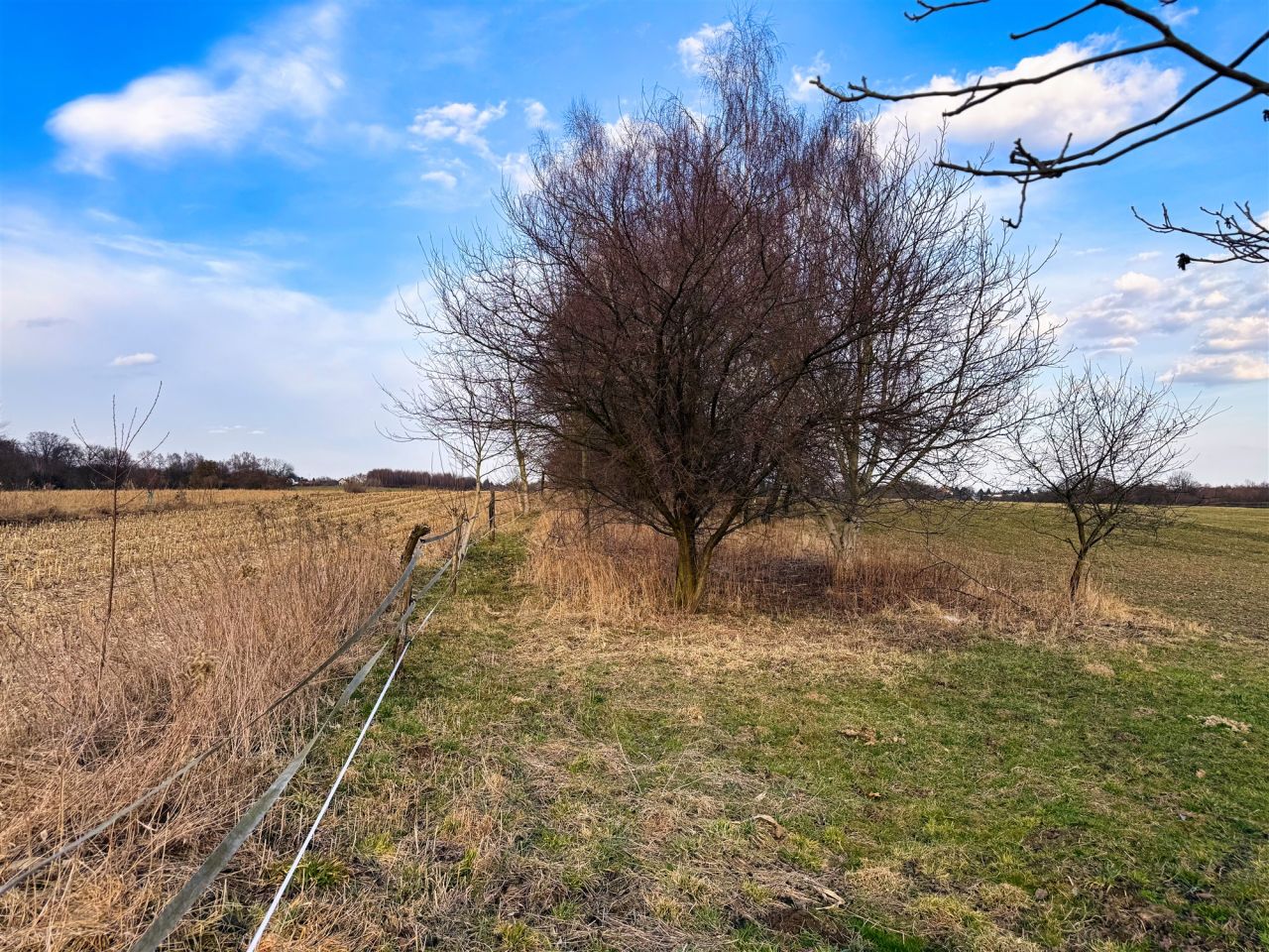 Działka rolno-budowlana Tomaszowice. Zdjęcie 2
