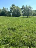 Działka rolno-budowlana Barcice Drwalewskie. Zdjęcie 4