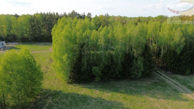 Działka budowlana Badów Górny, ul. Główna. Zdjęcie 2