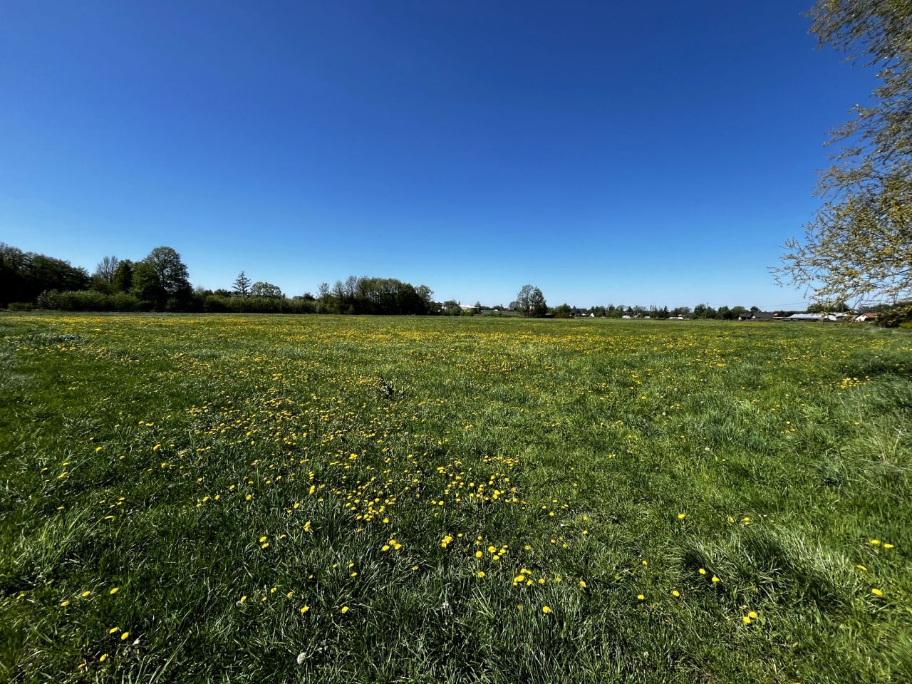 Działka budowlana Górki Wielkie, ul. Wusionka. Zdjęcie 6