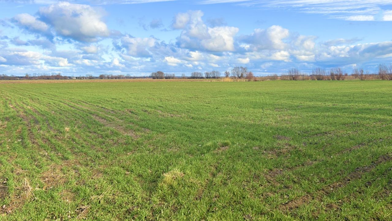 Działka rolno-budowlana Stegienka. Zdjęcie 7