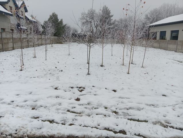 Działka budowlana Rędziny. Zdjęcie 1