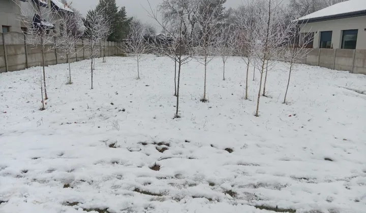 Działka budowlana Rędziny