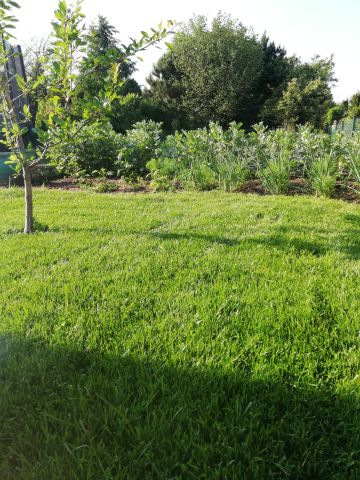 Działka rod Inowrocław, ul. Poznańska. Zdjęcie 9