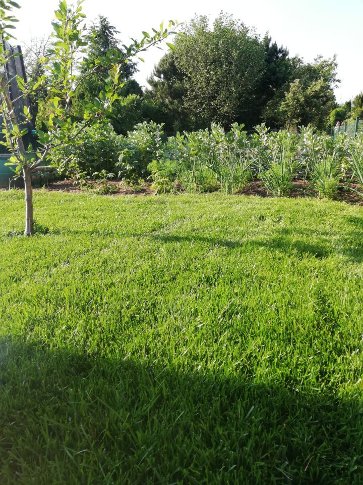 Działka rod Inowrocław, ul. Poznańska. Zdjęcie 9