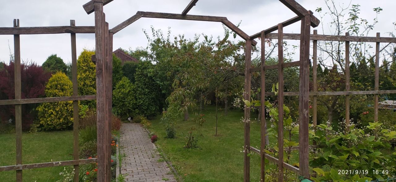 Działka rod Gliwice Stare Gliwice. Zdjęcie 2