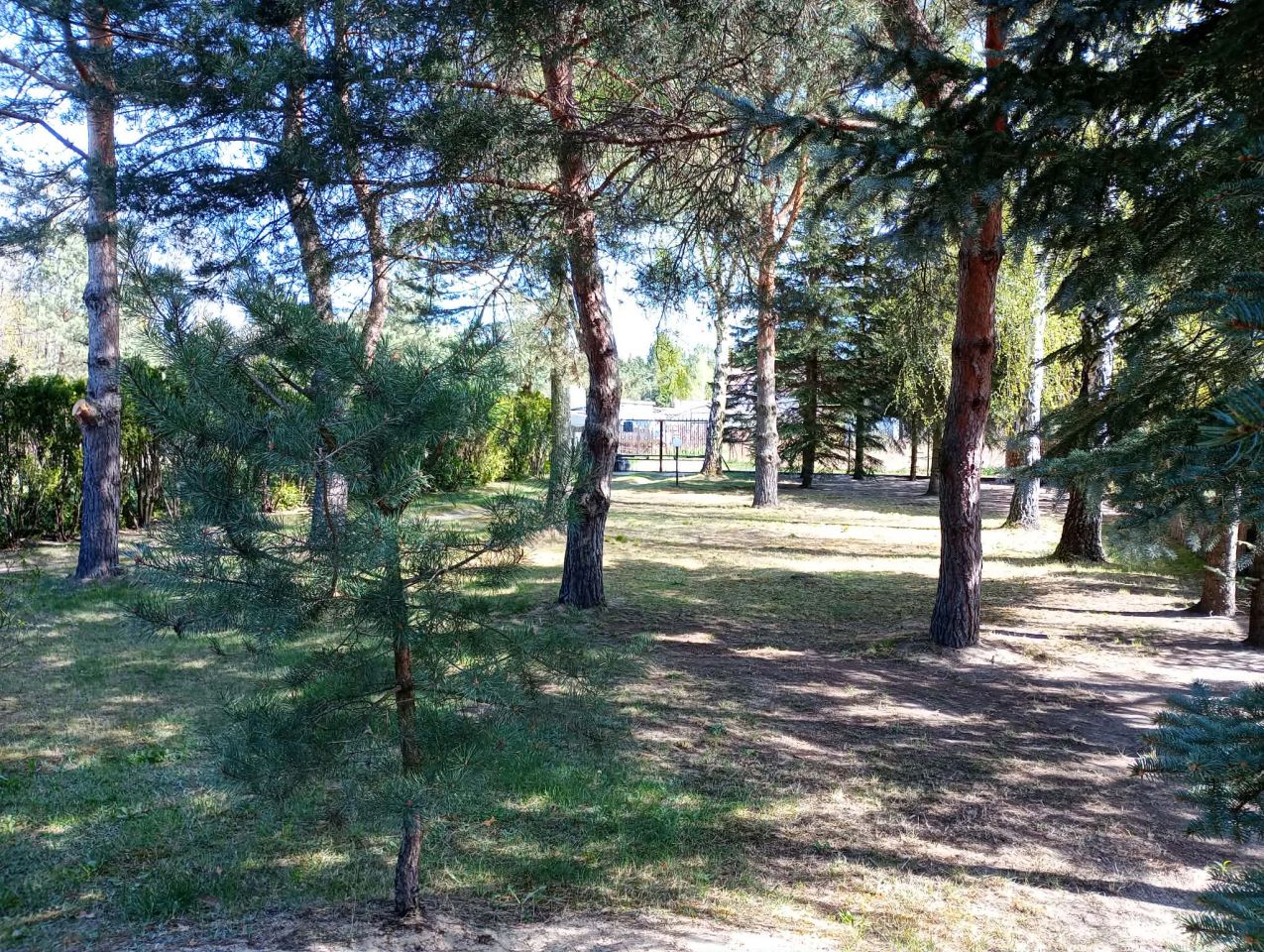 dom wolnostojący, 2 pokoje Arciechów Myszyniec, ul. Orzechowa. Zdjęcie 4