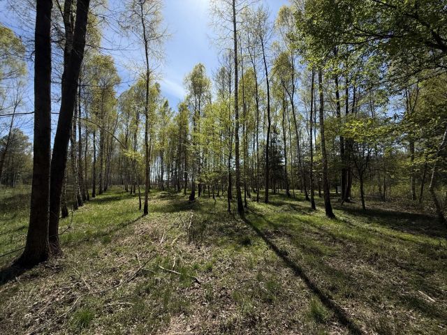 Działka budowlana Rybna, ul. Kręta. Zdjęcie 7