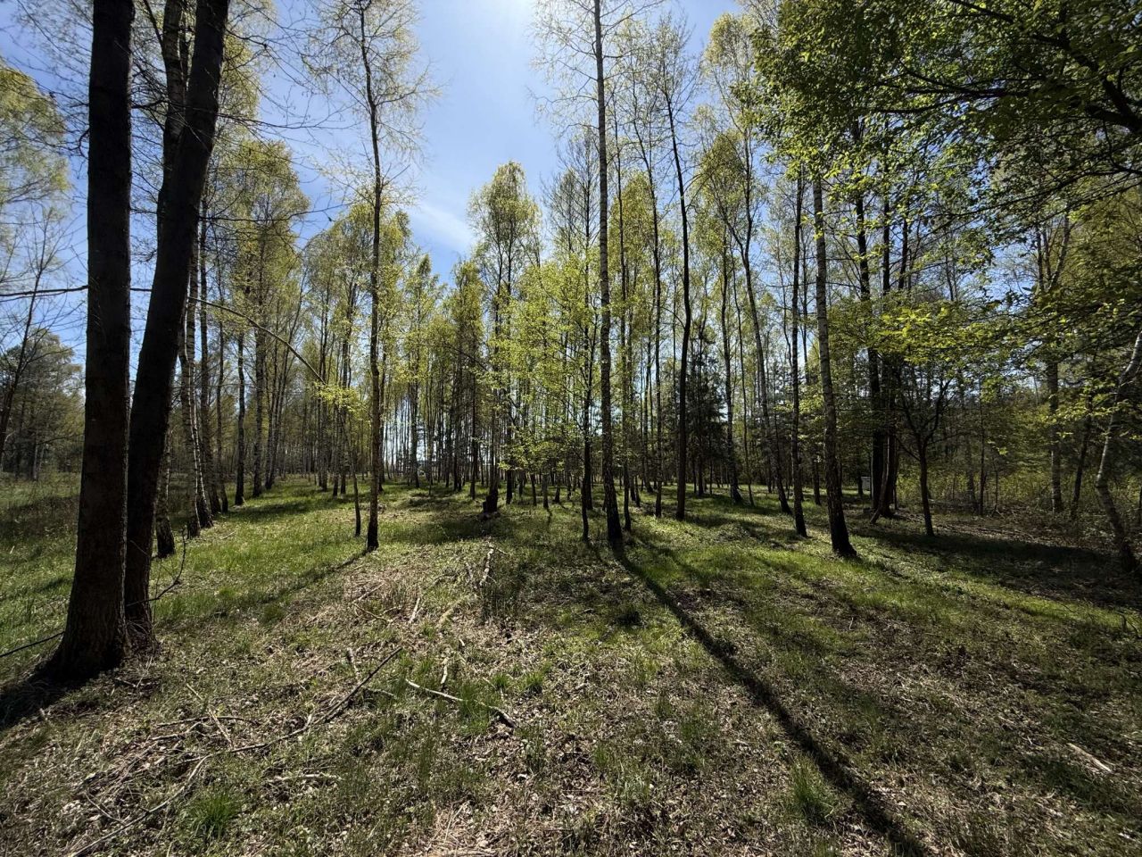 Działka budowlana Rybna, ul. Kręta. Zdjęcie 7