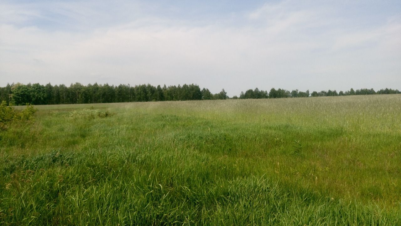 Działka inwestycyjna Lipa. Zdjęcie 2