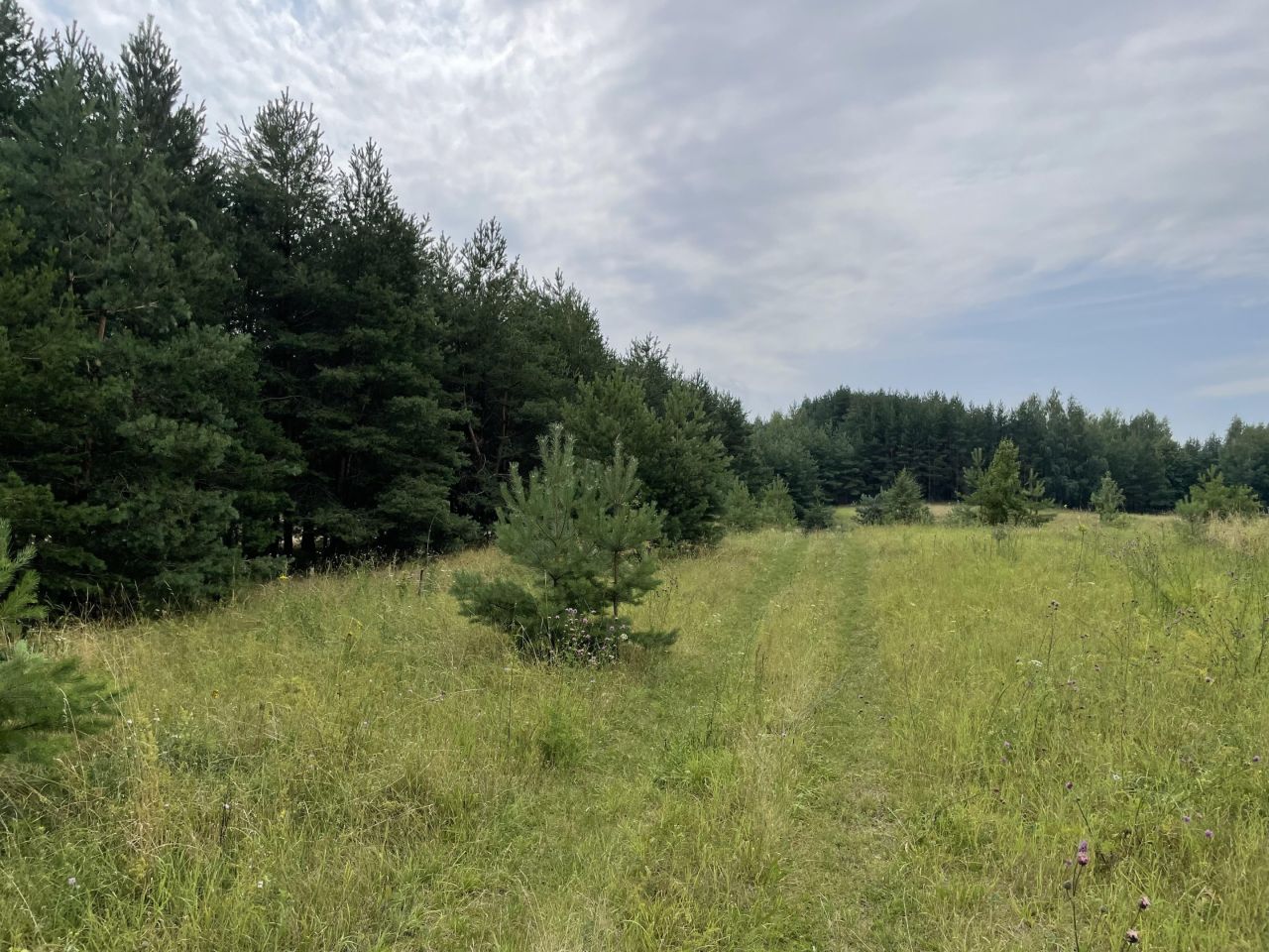 Działka rolno-budowlana Kopczany. Zdjęcie 17