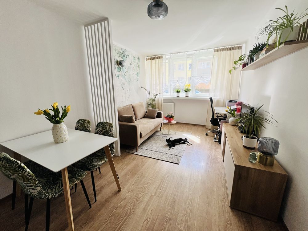 Mieszkanie 2-pokojowe Zielona Góra Centrum, ul. Ptasia. Zdjęcie 7