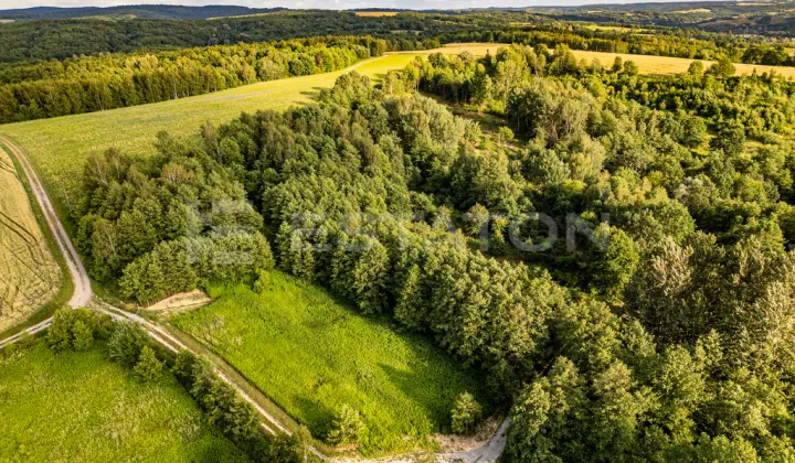 Działka rolna Nowy Borek
